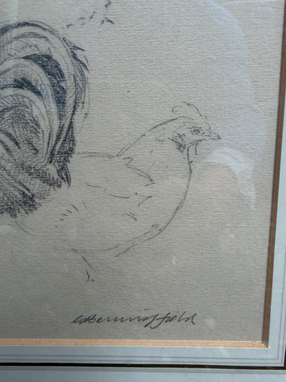 CHICKEN DRAWING