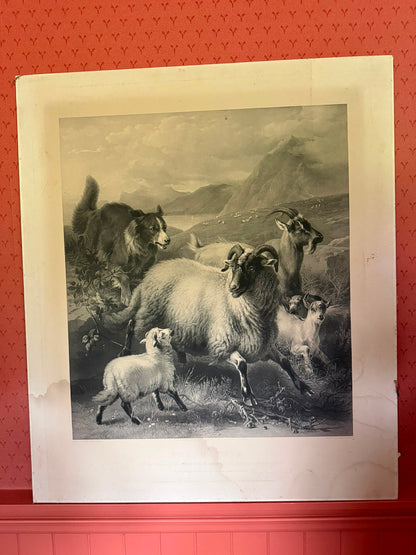 LANDSEER PRINT
