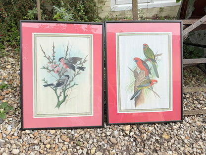 BIRD PRINTS