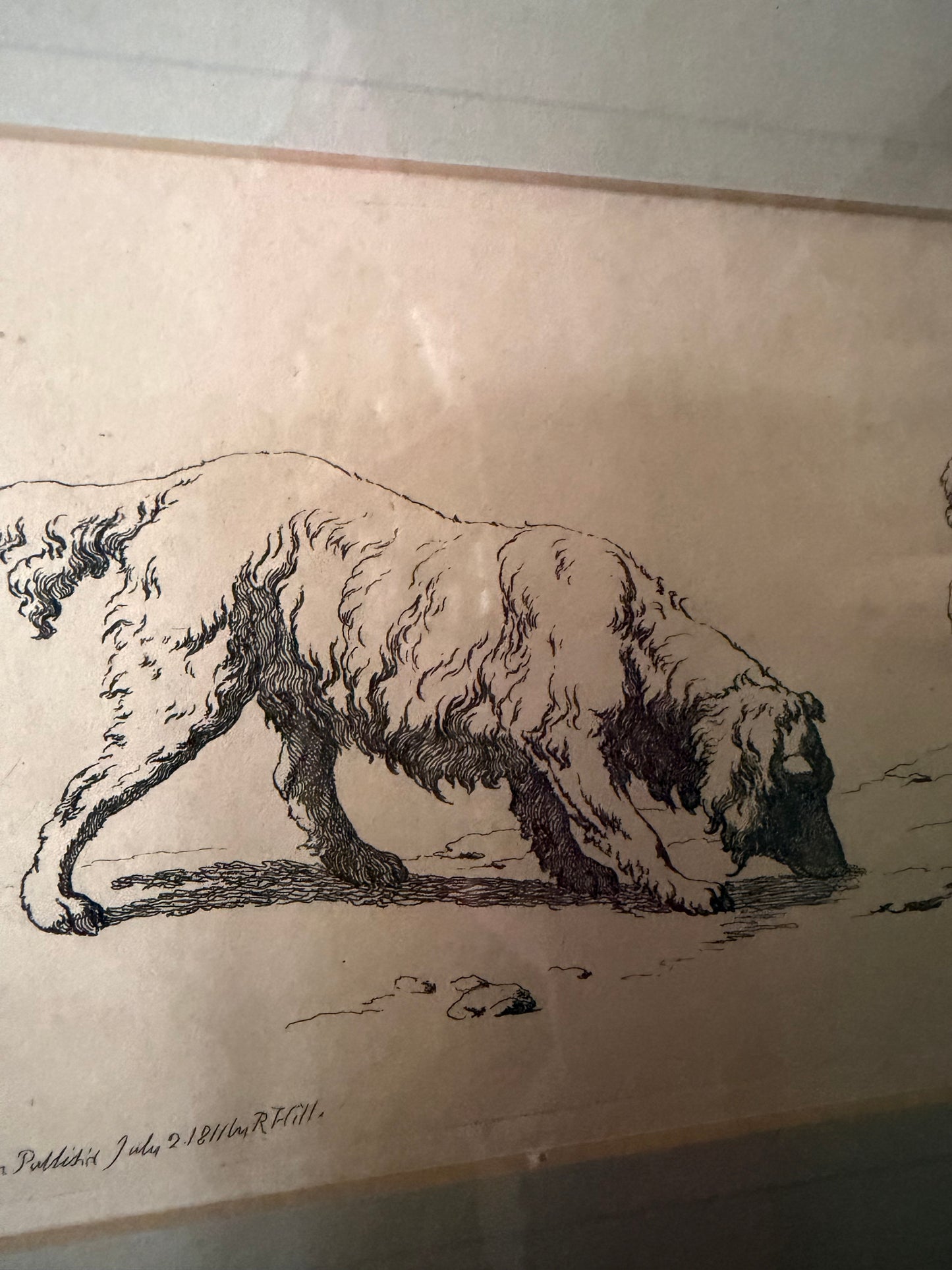 SILVER FRAME DOGS PRINT