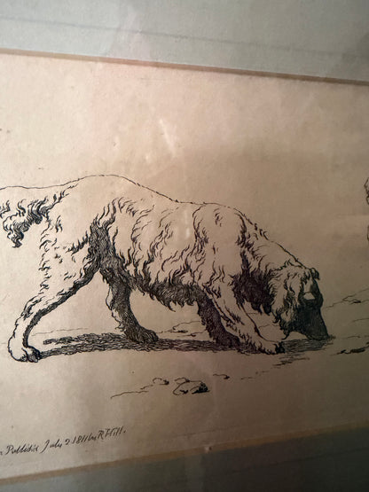 SILVER FRAME DOGS PRINT