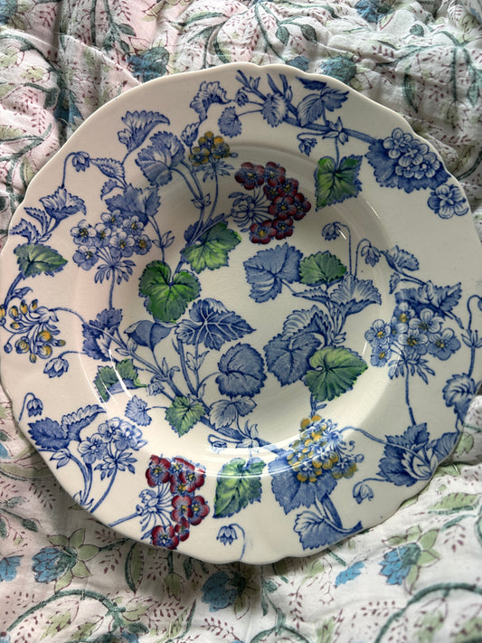 6 BOWLS