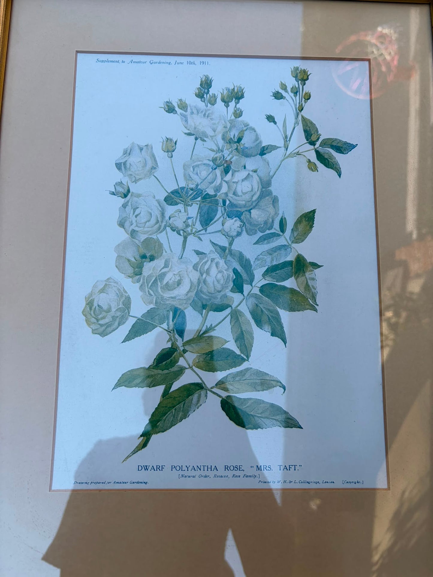 PRINTS