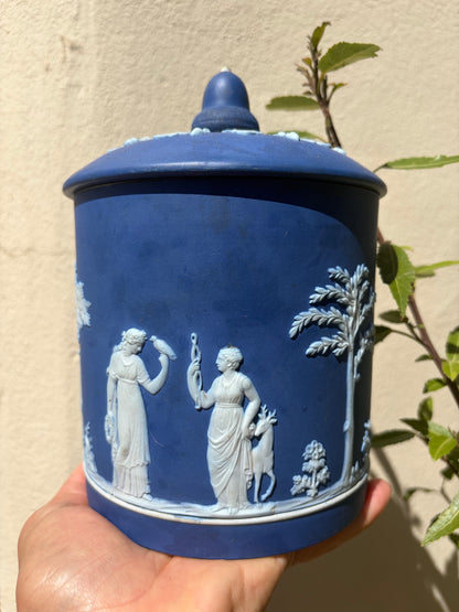 WEDGWOOD POT