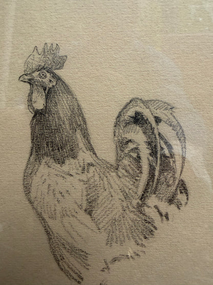 CHICKEN DRAWING
