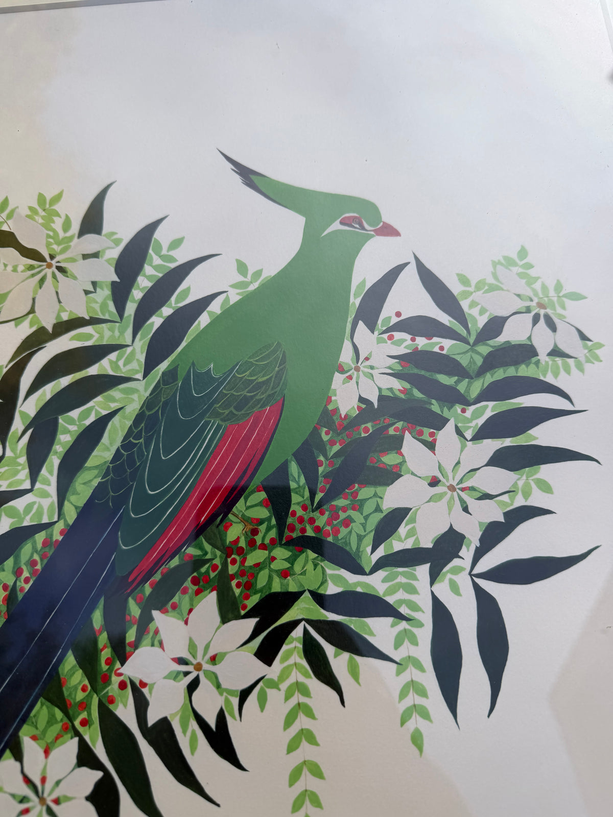 GREEN BIRD