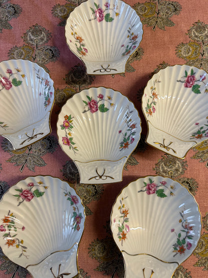 SHELL DISHES