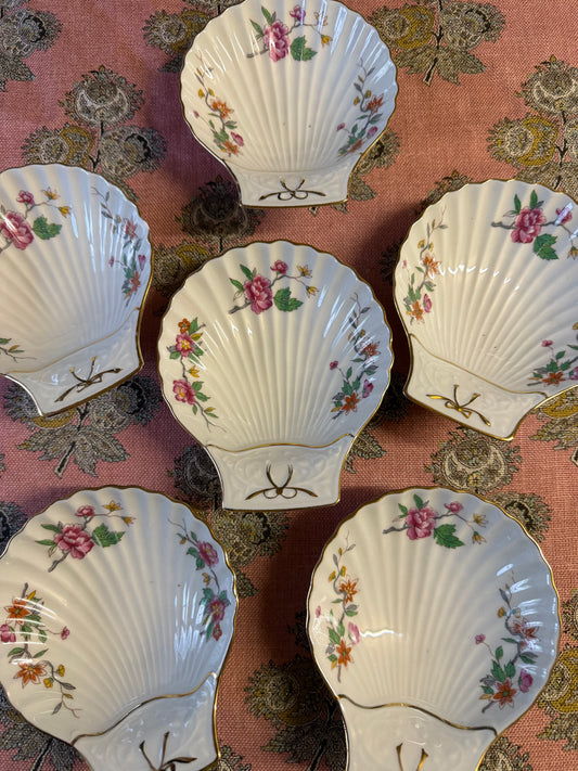SHELL DISHES
