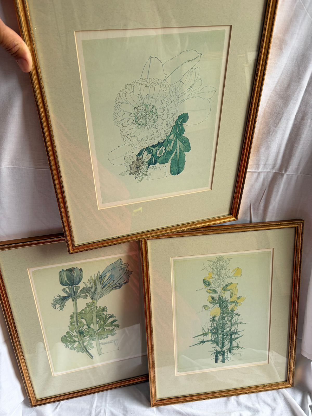 FLOWER PRINTS