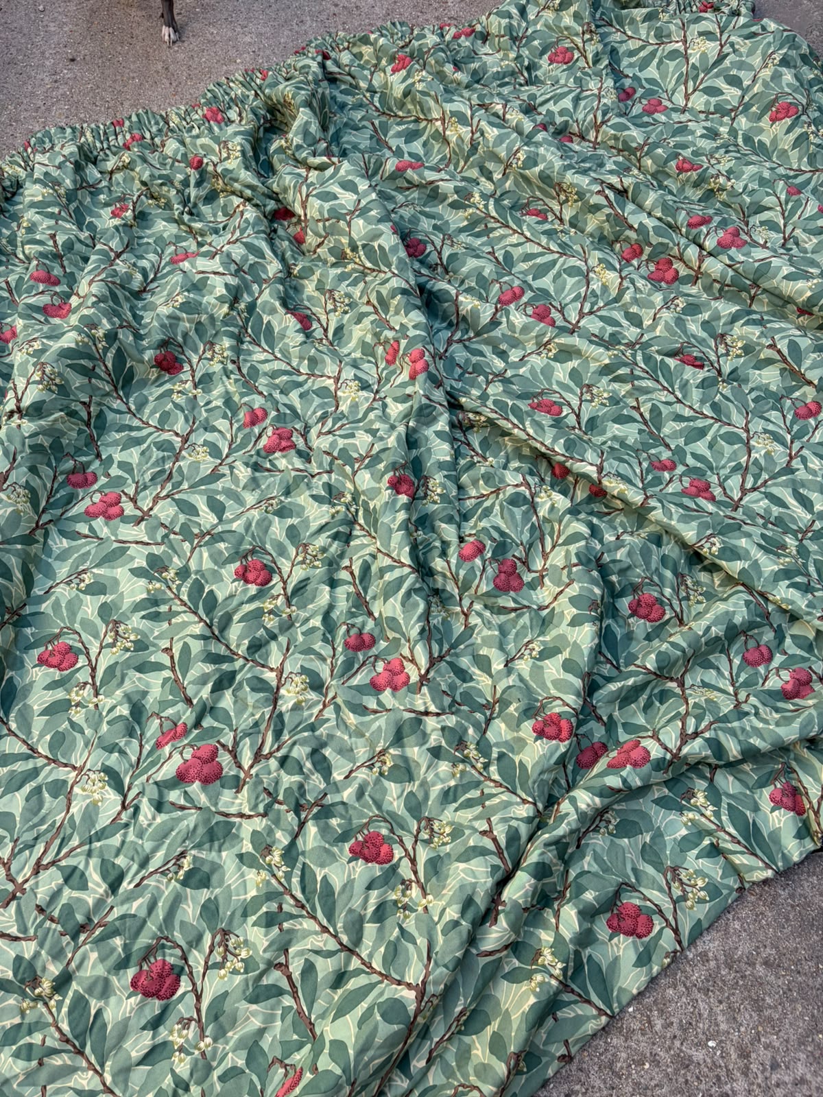 CURTAIN