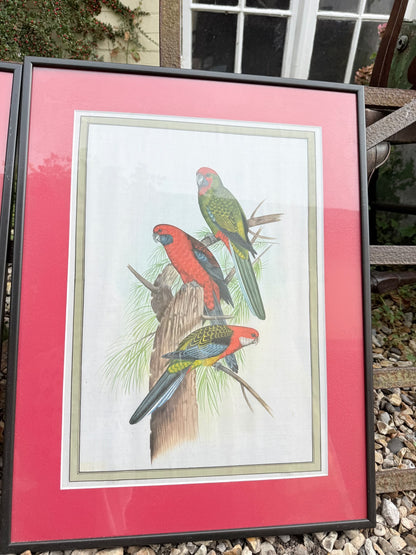 BIRD PRINTS