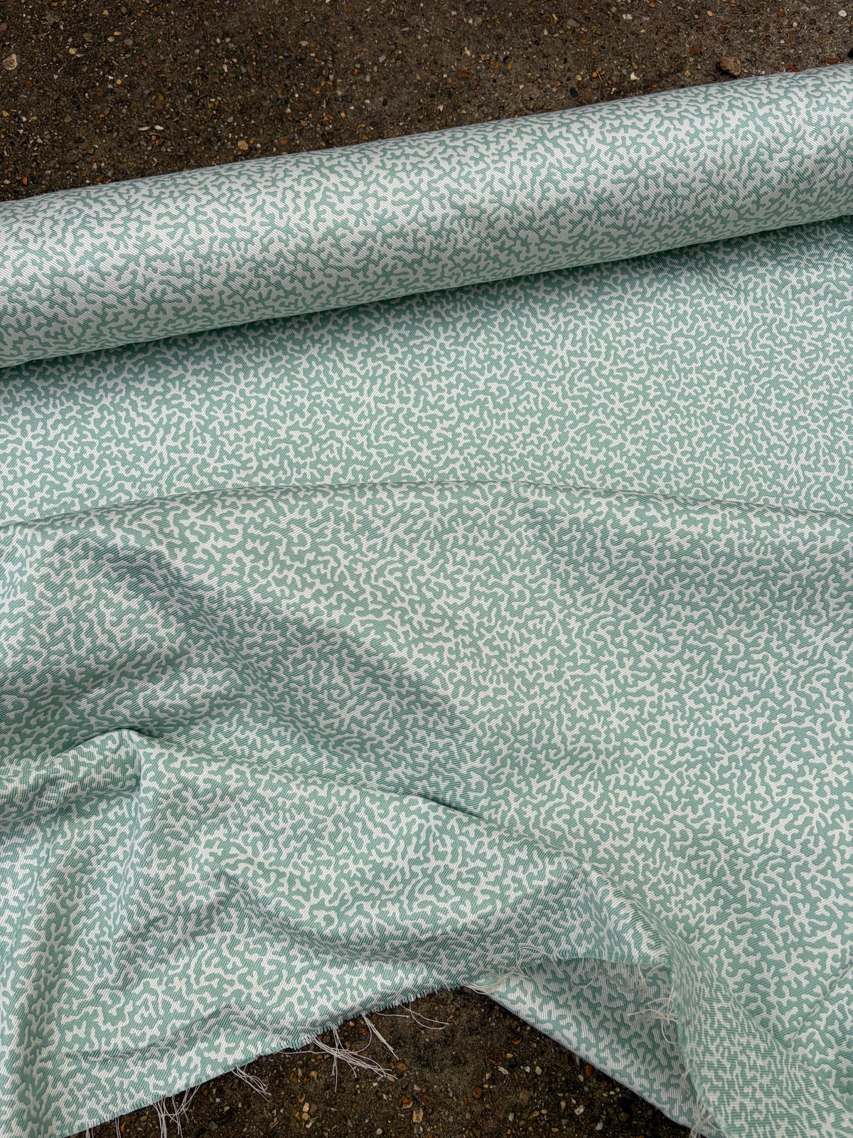 COLEFAX APOLLINE