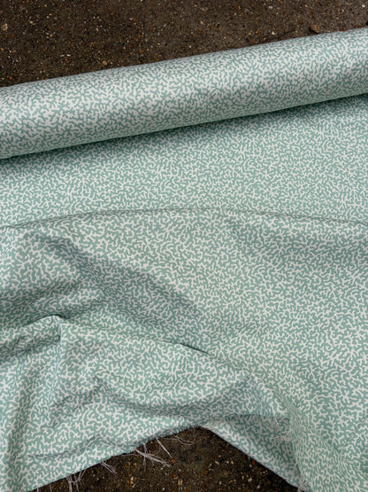 COLEFAX APOLLINE