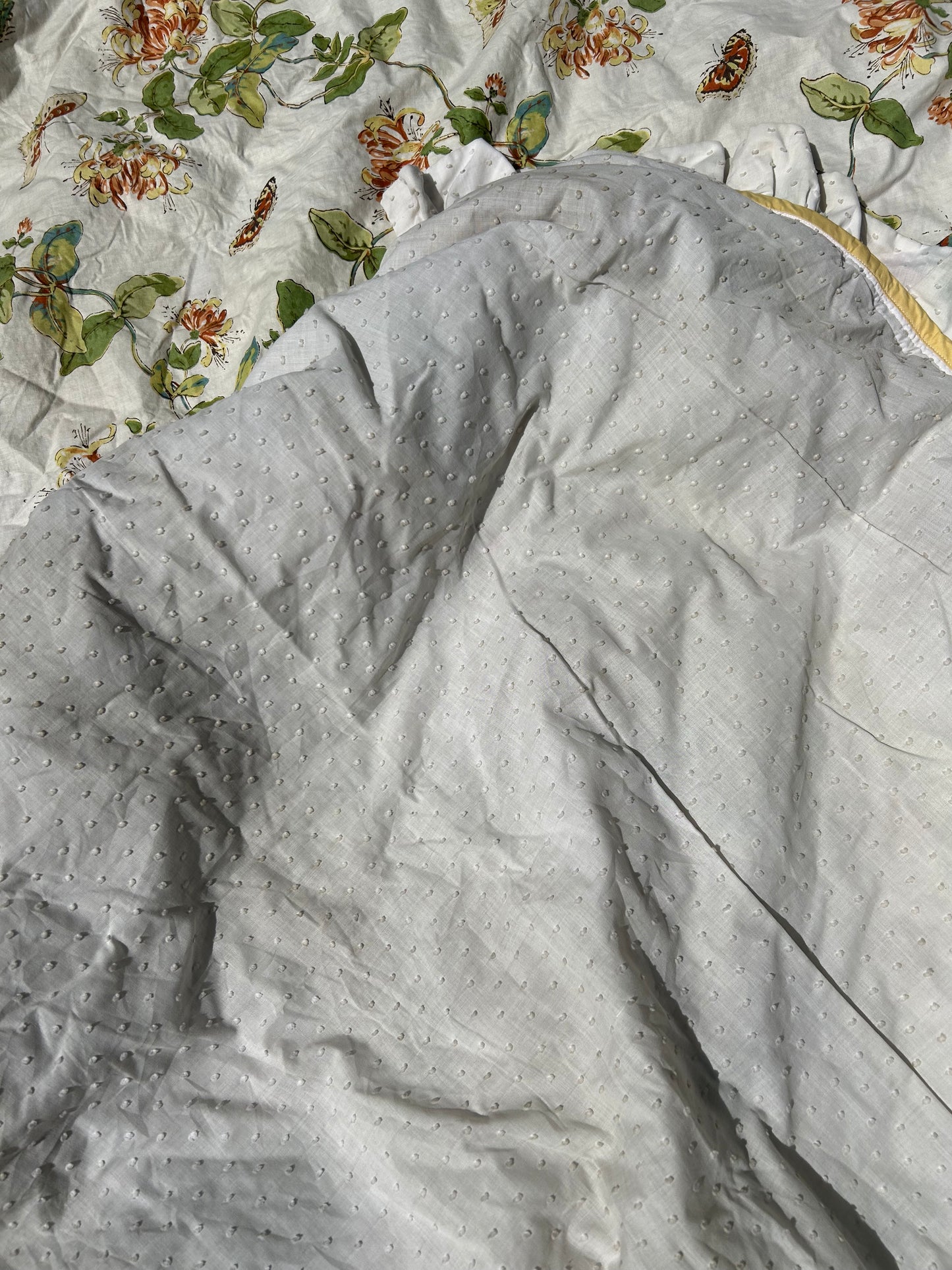 COLEFAX BED CANOPY