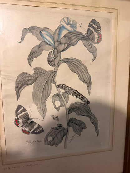 PAIR OF PRINTS
