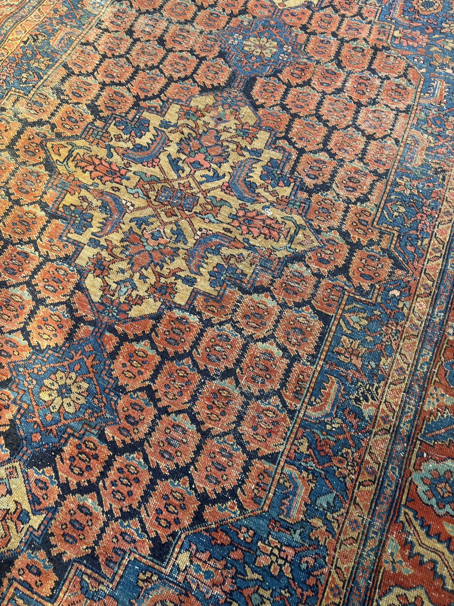 CARPET