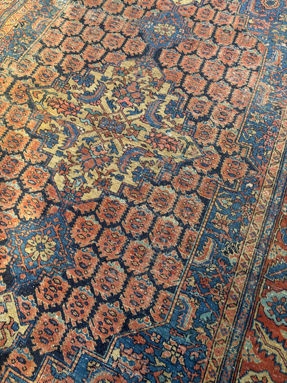 CARPET