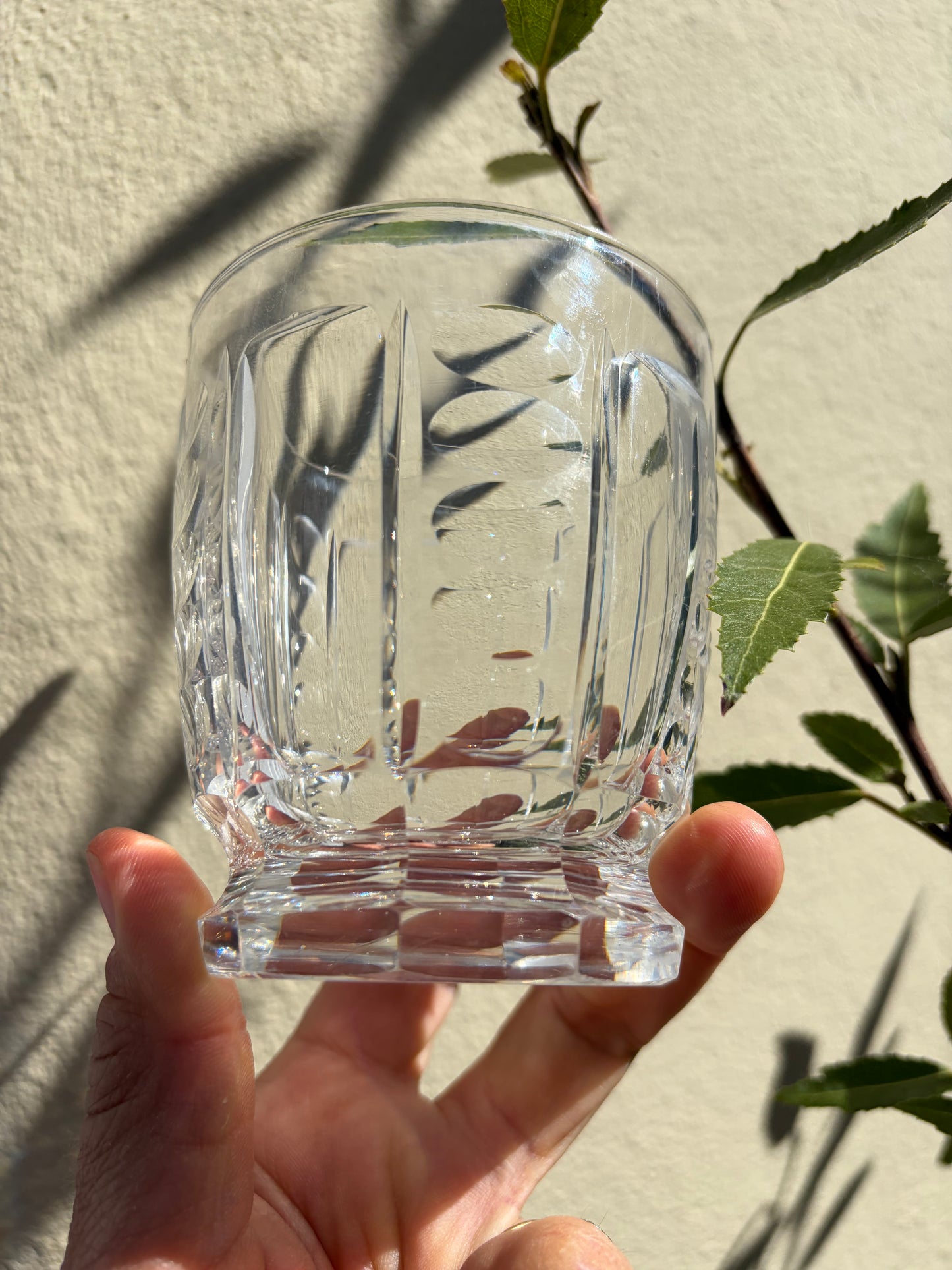 WATER GLASSES
