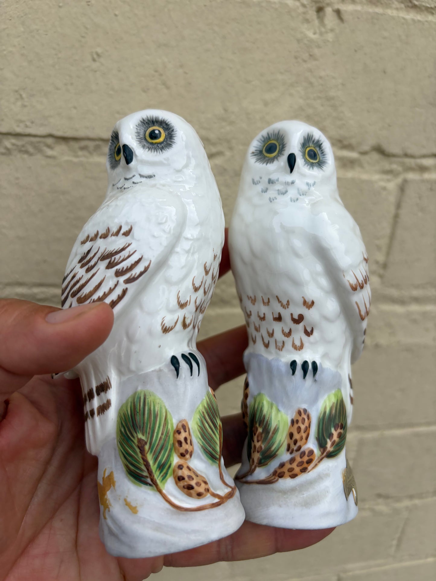 TWO OWLS