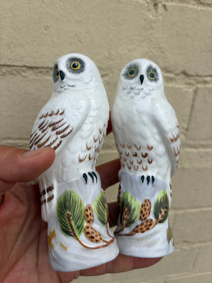 TWO OWLS