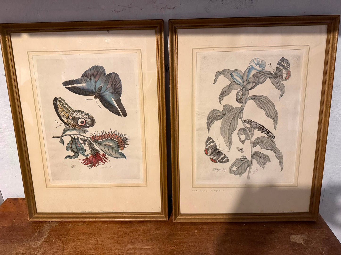 PAIR OF PRINTS