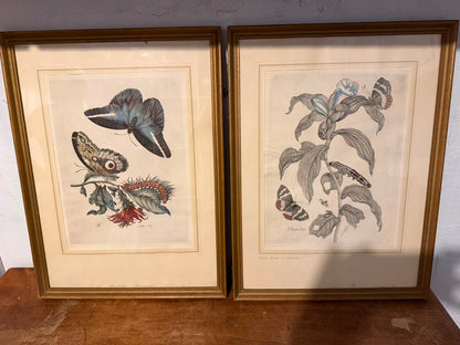 PAIR OF PRINTS