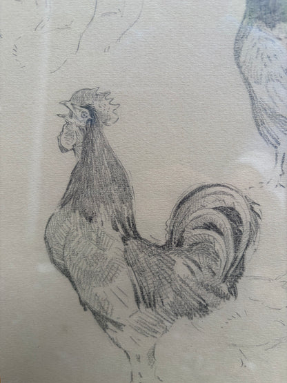 CHICKEN DRAWING