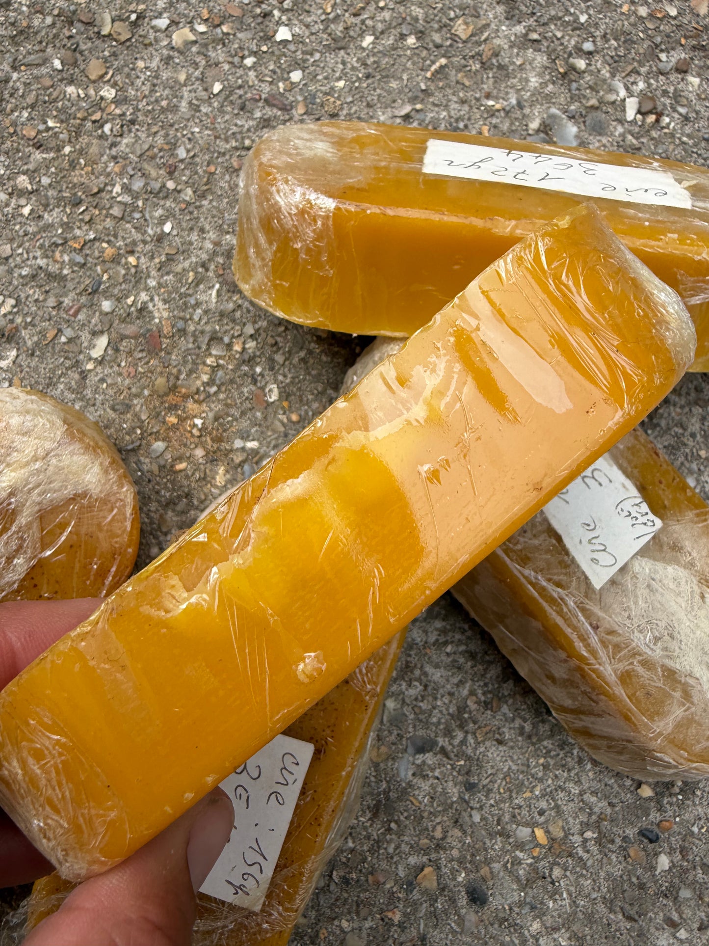 BEES WAX