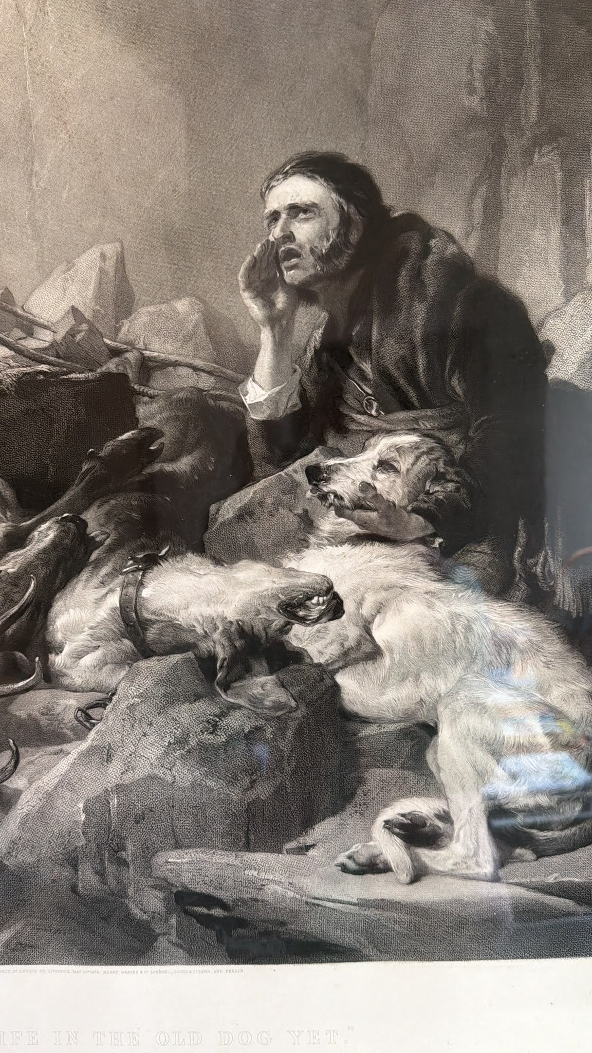 LANDSEER PRINT