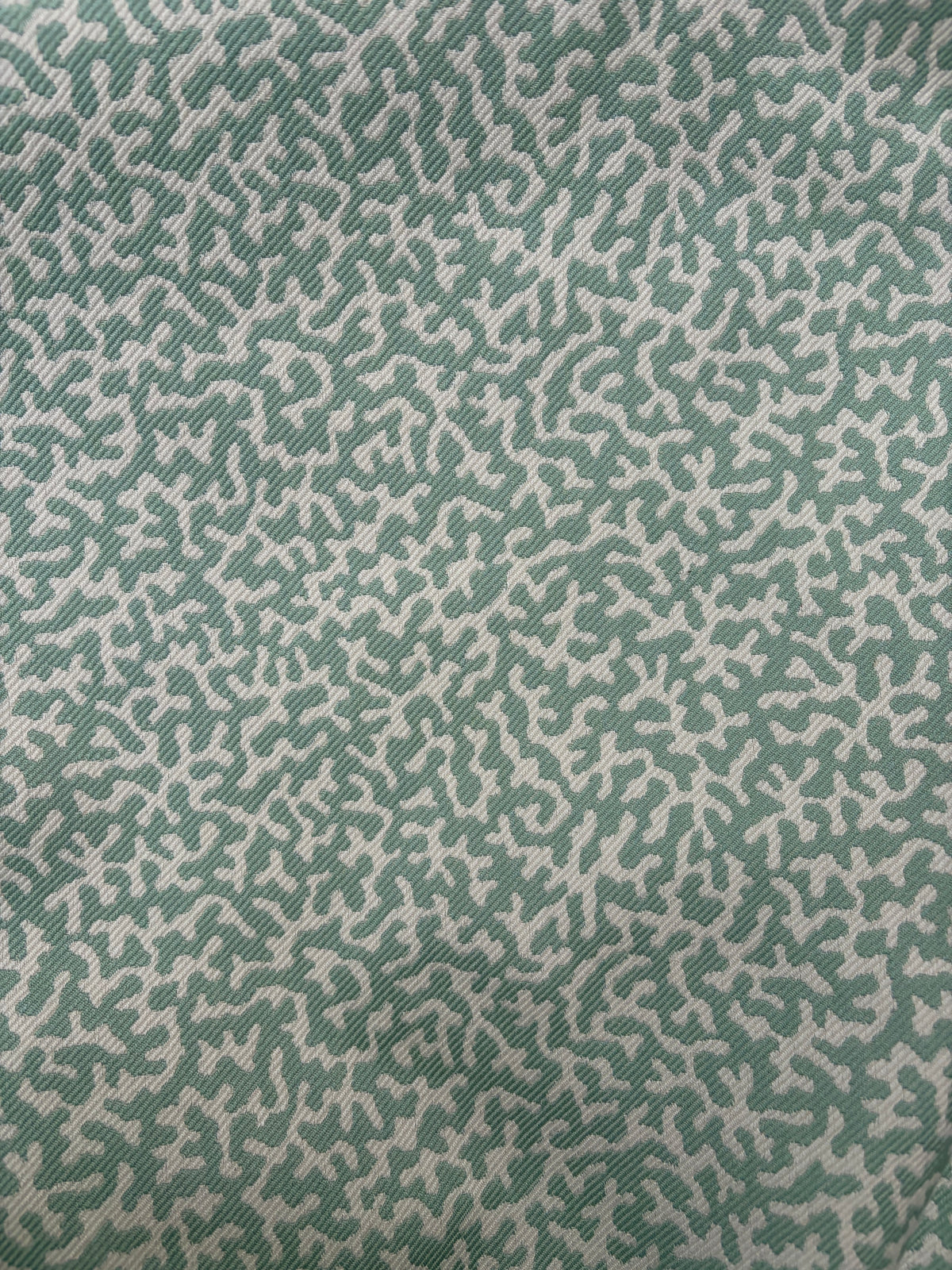 COLEFAX APOLLINE