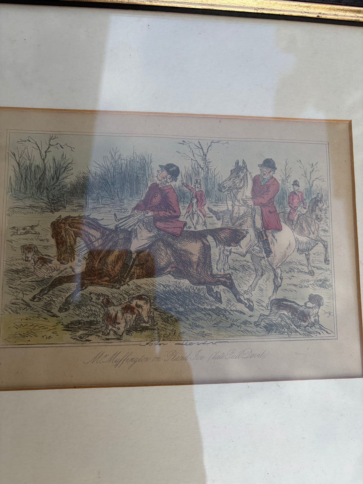 HORSE PICTURES