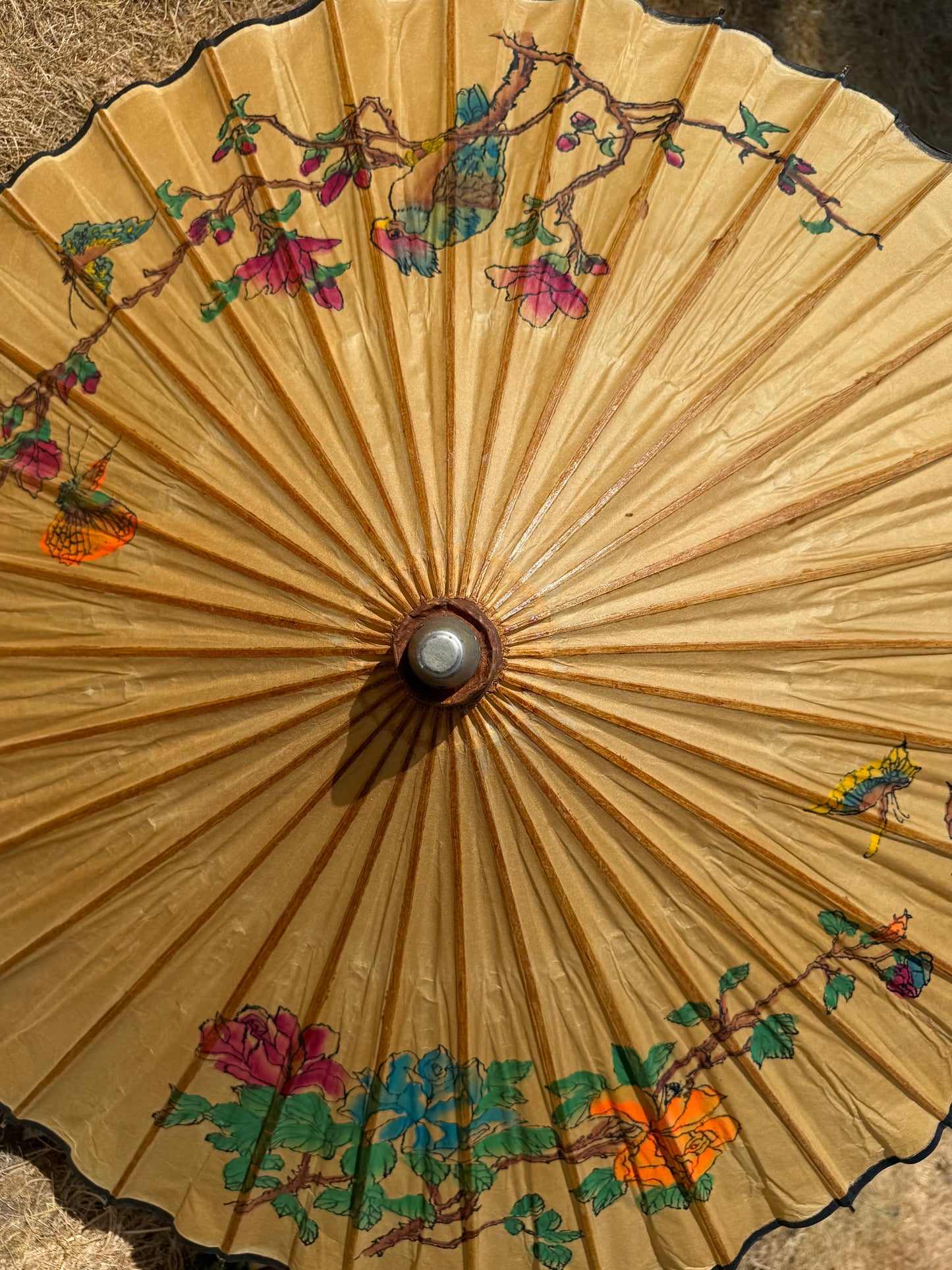 PARASOL