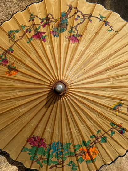 PARASOL