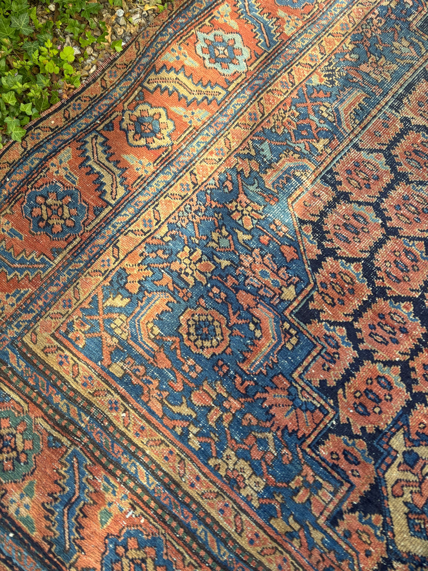 CARPET