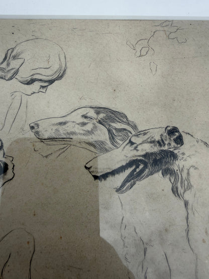 C.HODGSON SIGHTHOUND