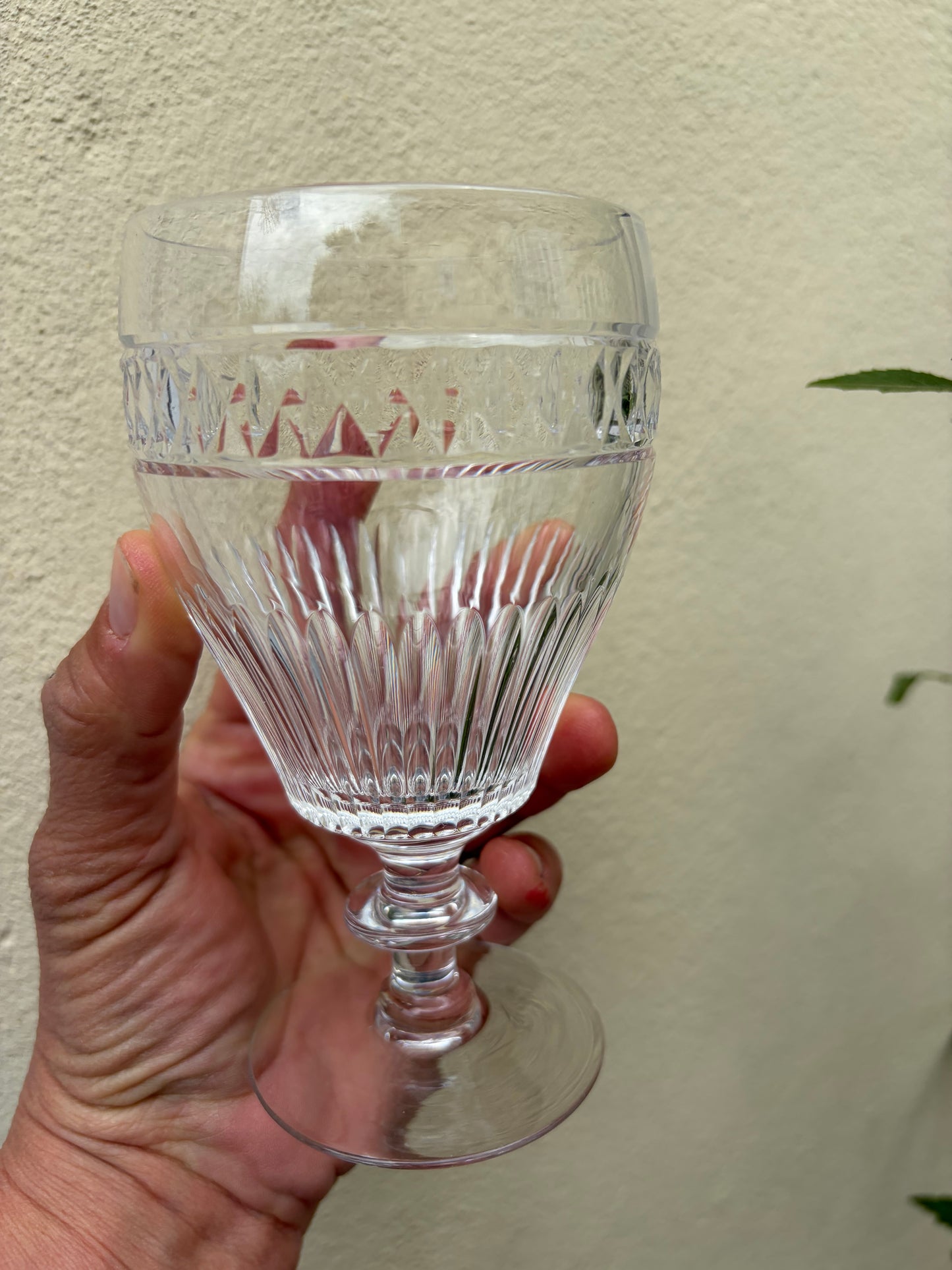 5 WINE GLASSES