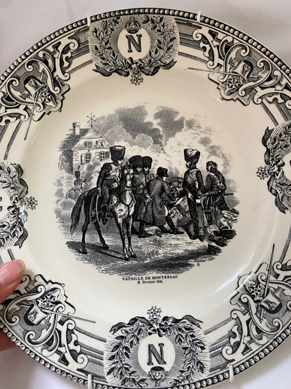 NAPOLEONS BATTLES