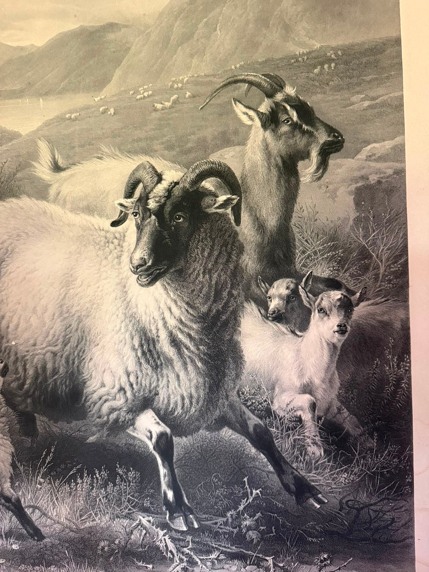 LANDSEER PRINT