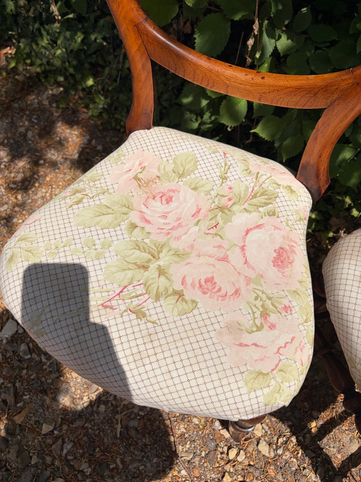 PAIR BALOON BACK CHAIRS