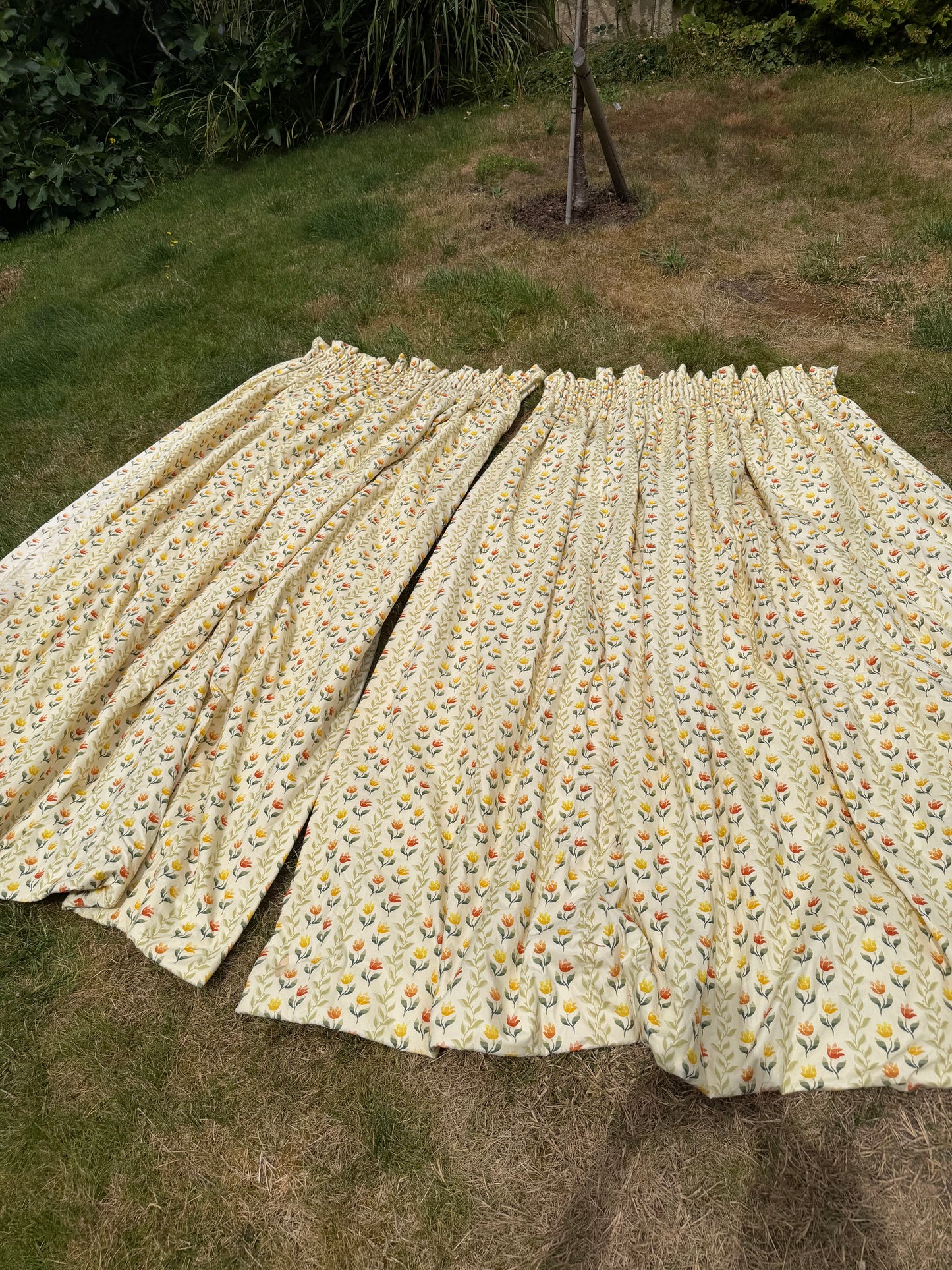 CURTAINS