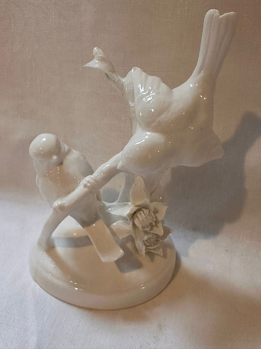 STAFFORDSHIRE BIRDS