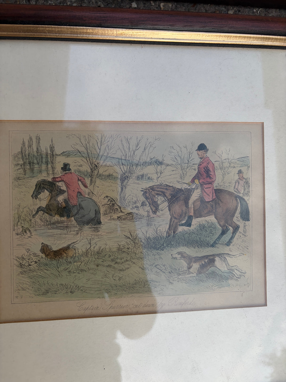 HORSE PICTURES