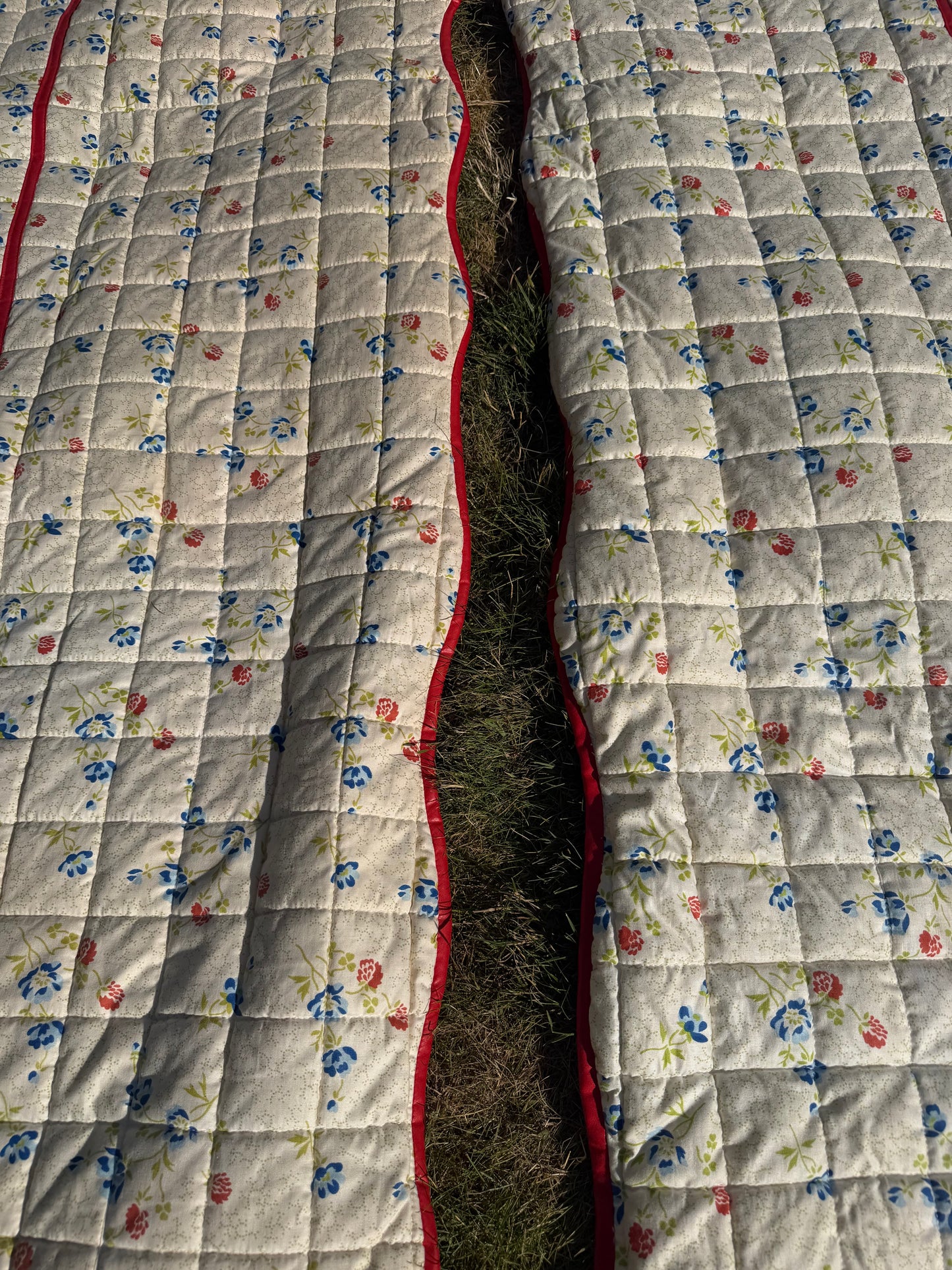 BED THROWS