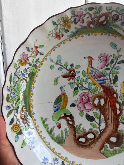 SPODE PLATE