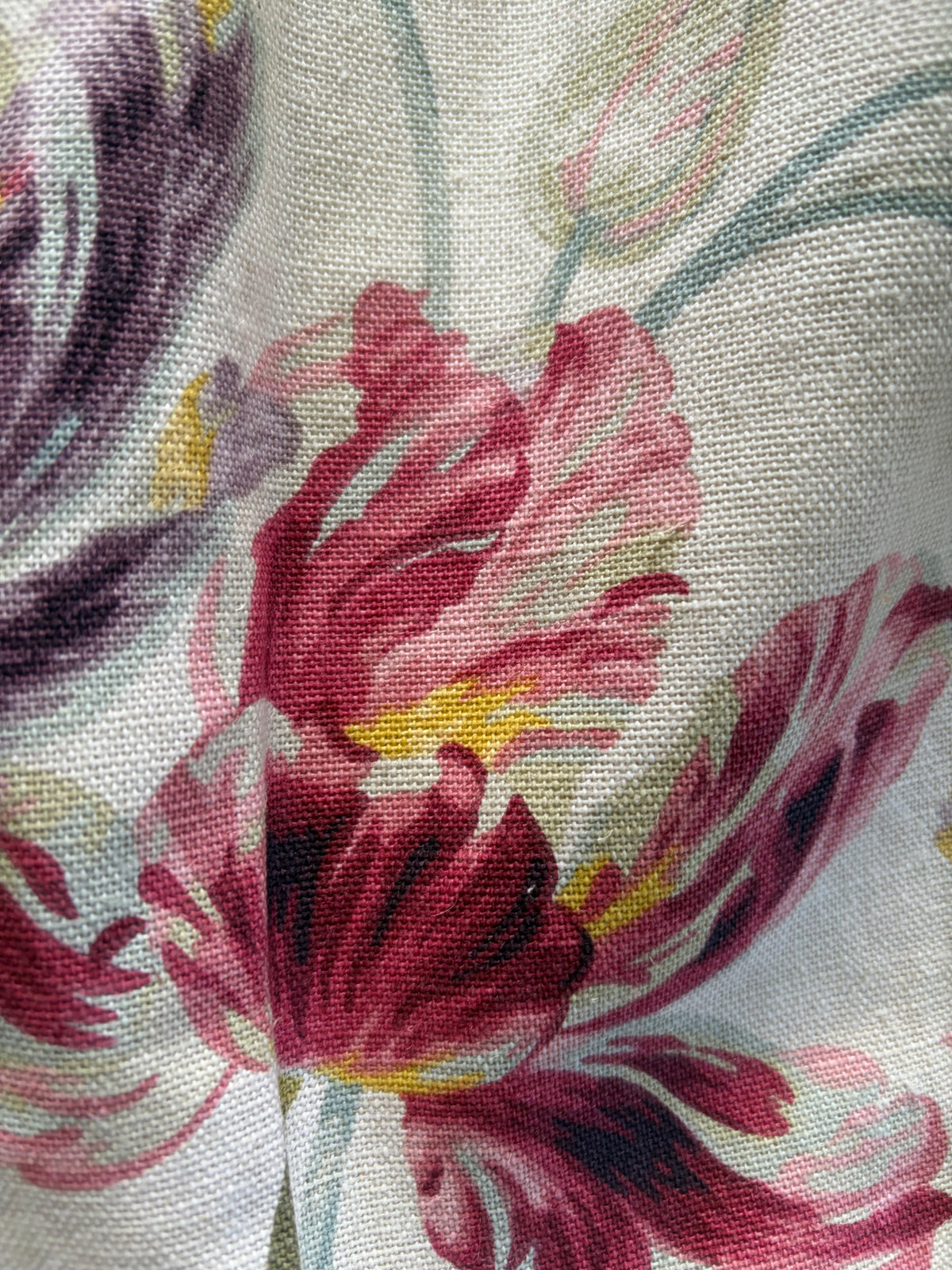 TULIP CURTAINS