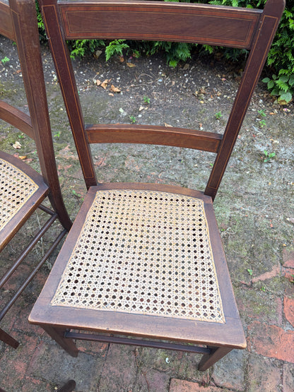 CANE CHAIRS