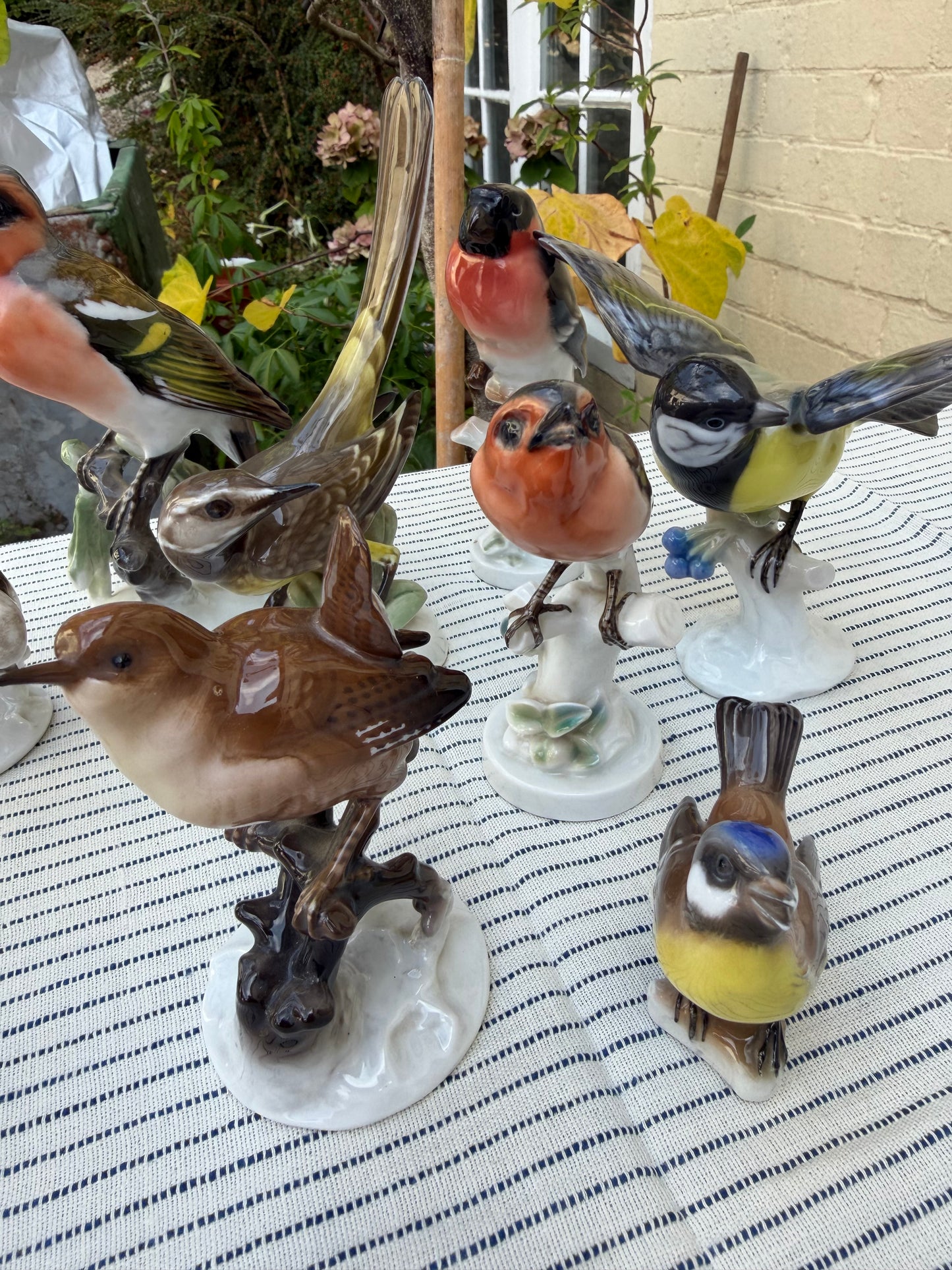 COLLECTION OF BIRDS