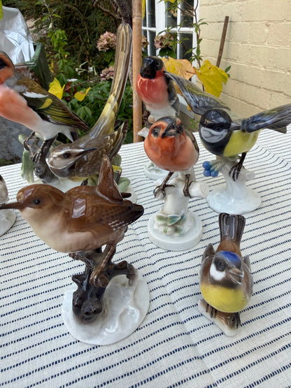 COLLECTION OF BIRDS