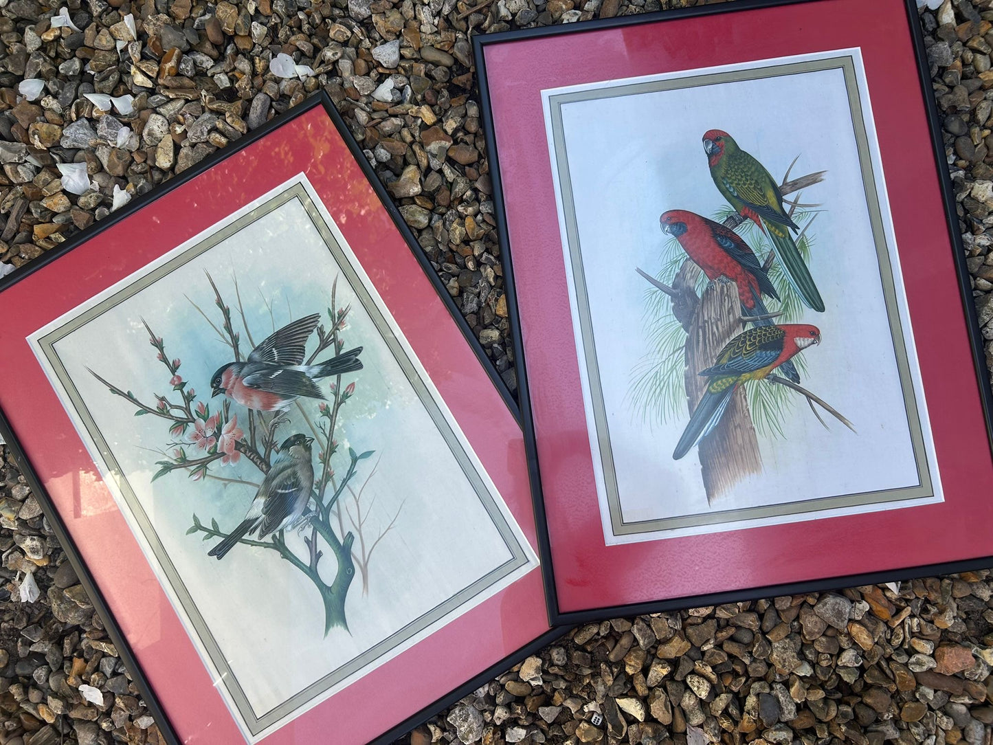 PAIR PRINTS