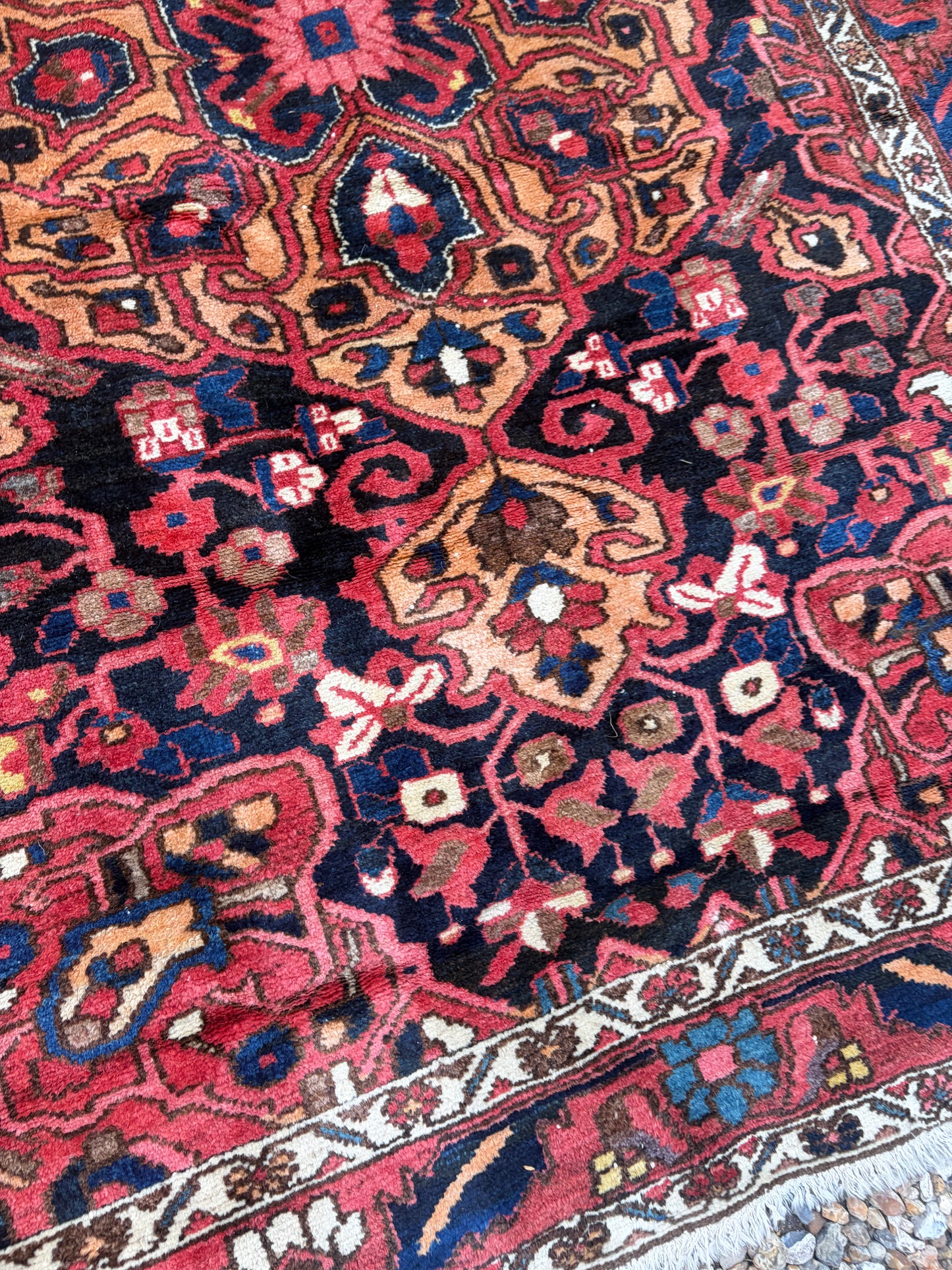 CARPET